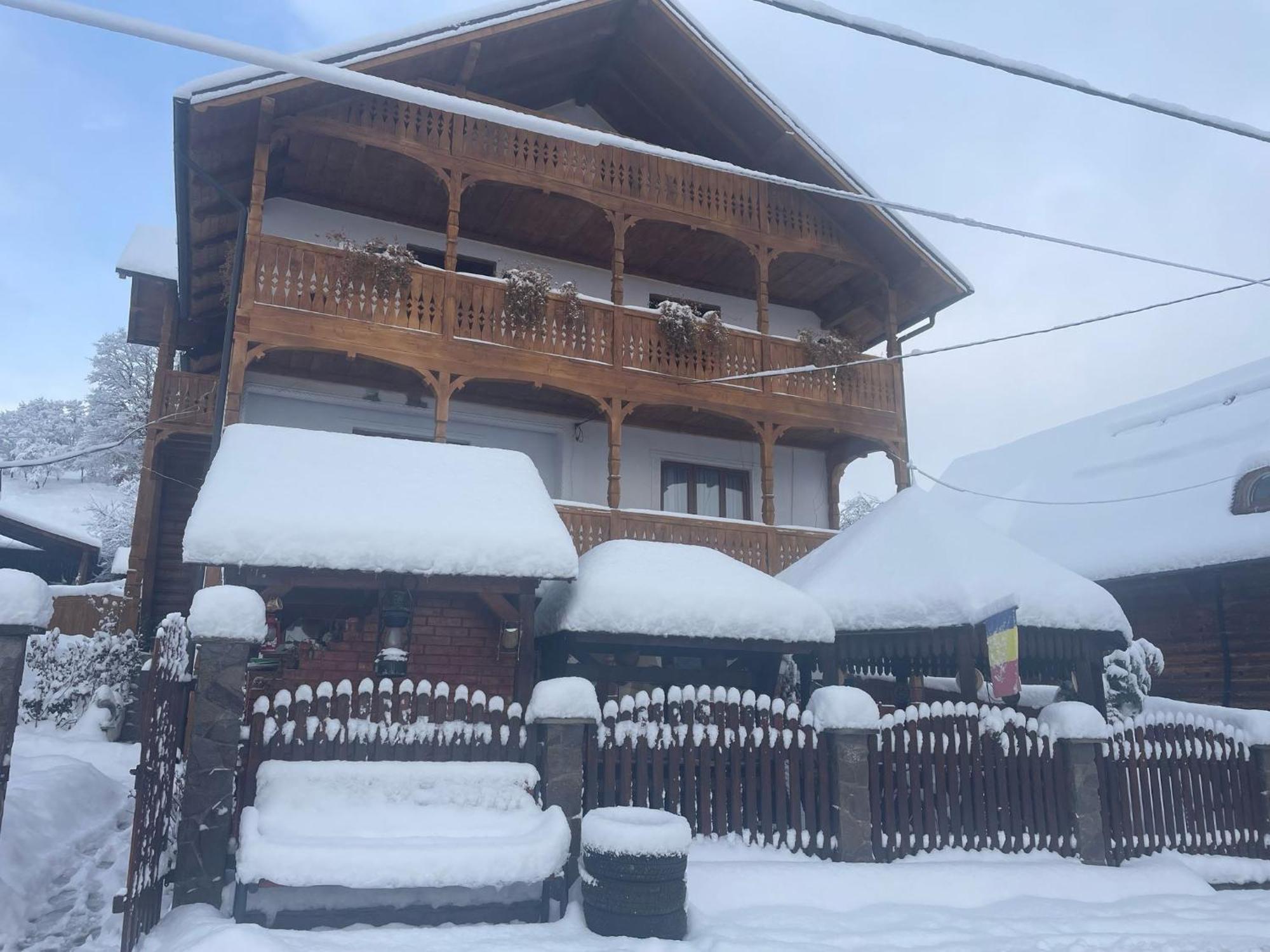 Hotel Casa Ionela Petreus Poienile Izei Exterior foto