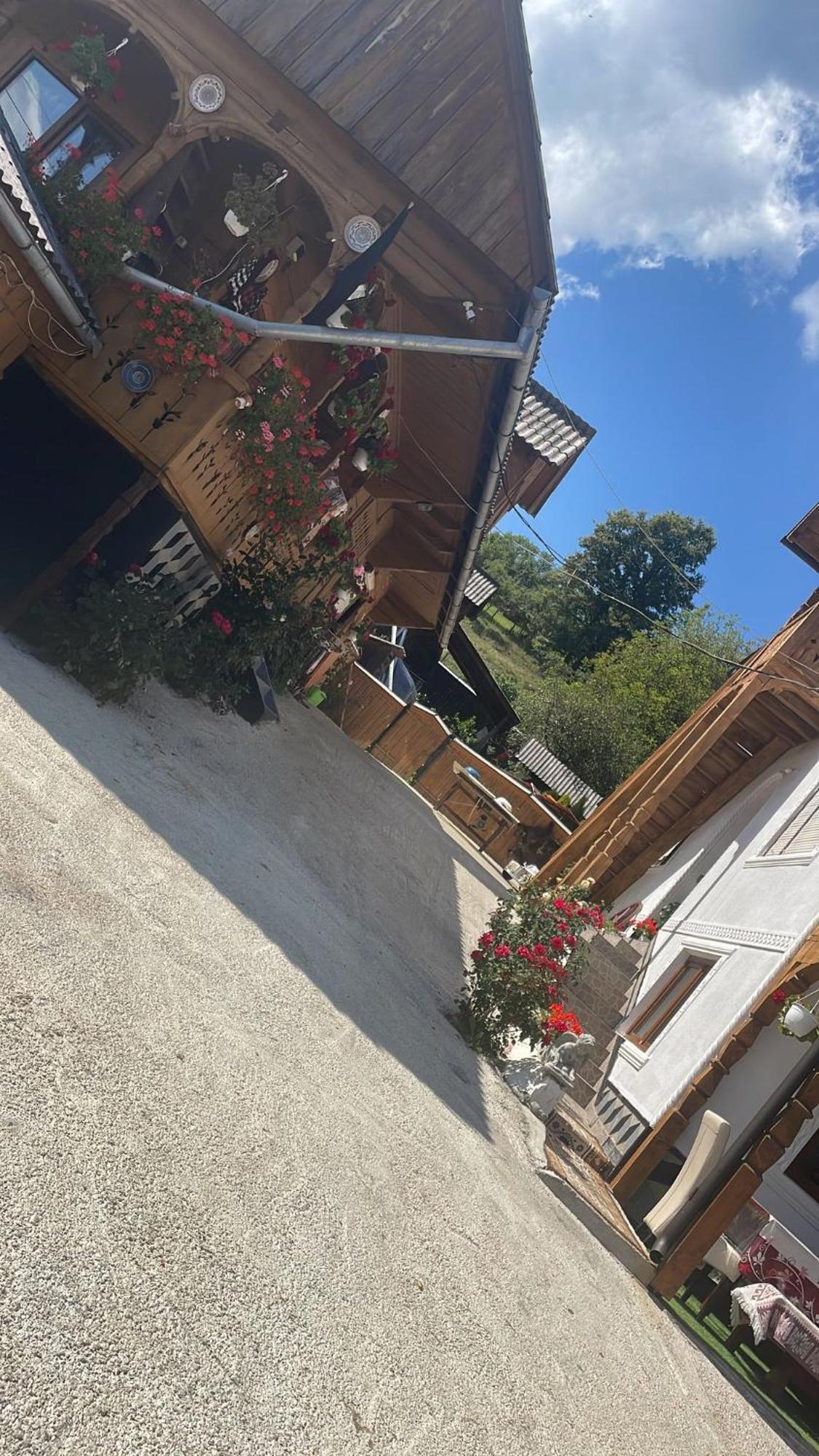 Hotel Casa Ionela Petreus Poienile Izei Exterior foto