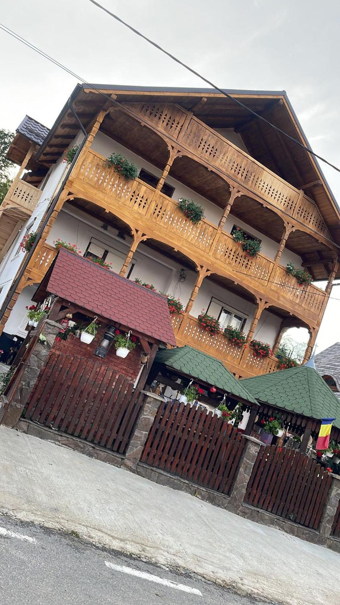 Hotel Casa Ionela Petreus Poienile Izei Exterior foto