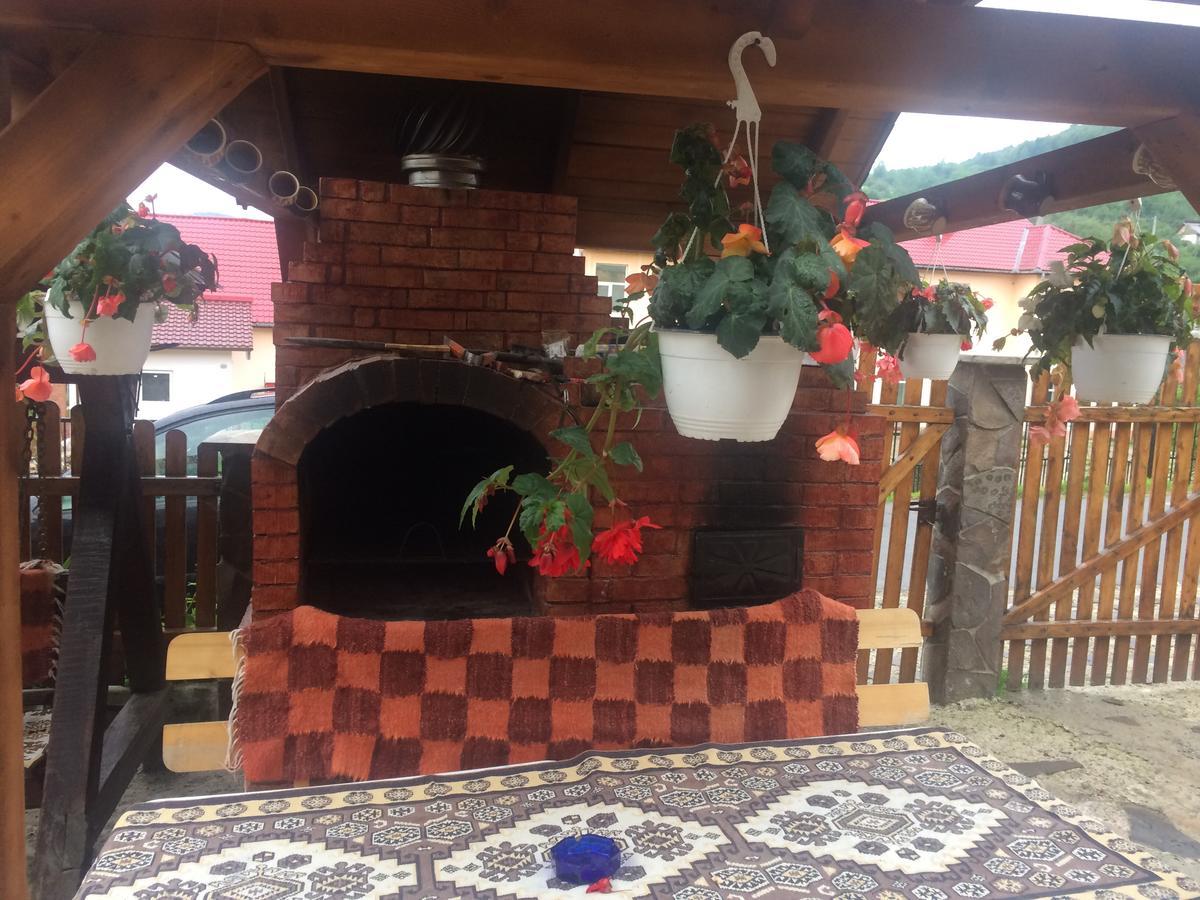 Hotel Casa Ionela Petreus Poienile Izei Exterior foto